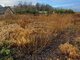 Land for sale Klaipėdos rajono sav., Kiškėnuose (5 picture)