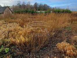 Parduodamas sklypas Klaipėdos rajono sav., Kiškėnuose