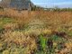 Land for sale Klaipėdos rajono sav., Kiškėnuose (7 picture)