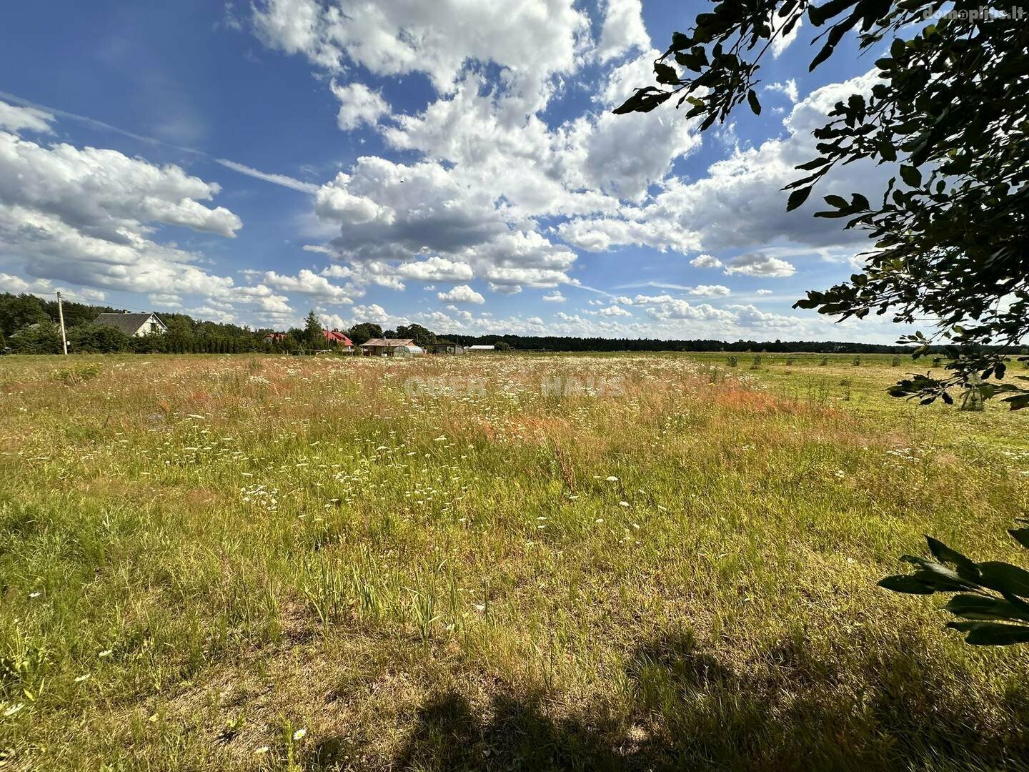 Parduodamas sklypas Panevėžio rajono sav., Vilkapjūviuose