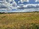 Parduodamas sklypas Panevėžio rajono sav., Vilkapjūviuose (2 nuotrauka)