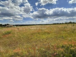 Parduodamas sklypas Panevėžio rajono sav., Vilkapjūviuose