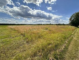 Parduodamas sklypas Panevėžio rajono sav., Vilkapjūviuose