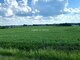 Land for sale Šiaulių rajono sav., Sauginiuose (8 picture)