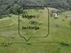 Land for sale Trakų rajono sav., Čekeliuose (2 picture)