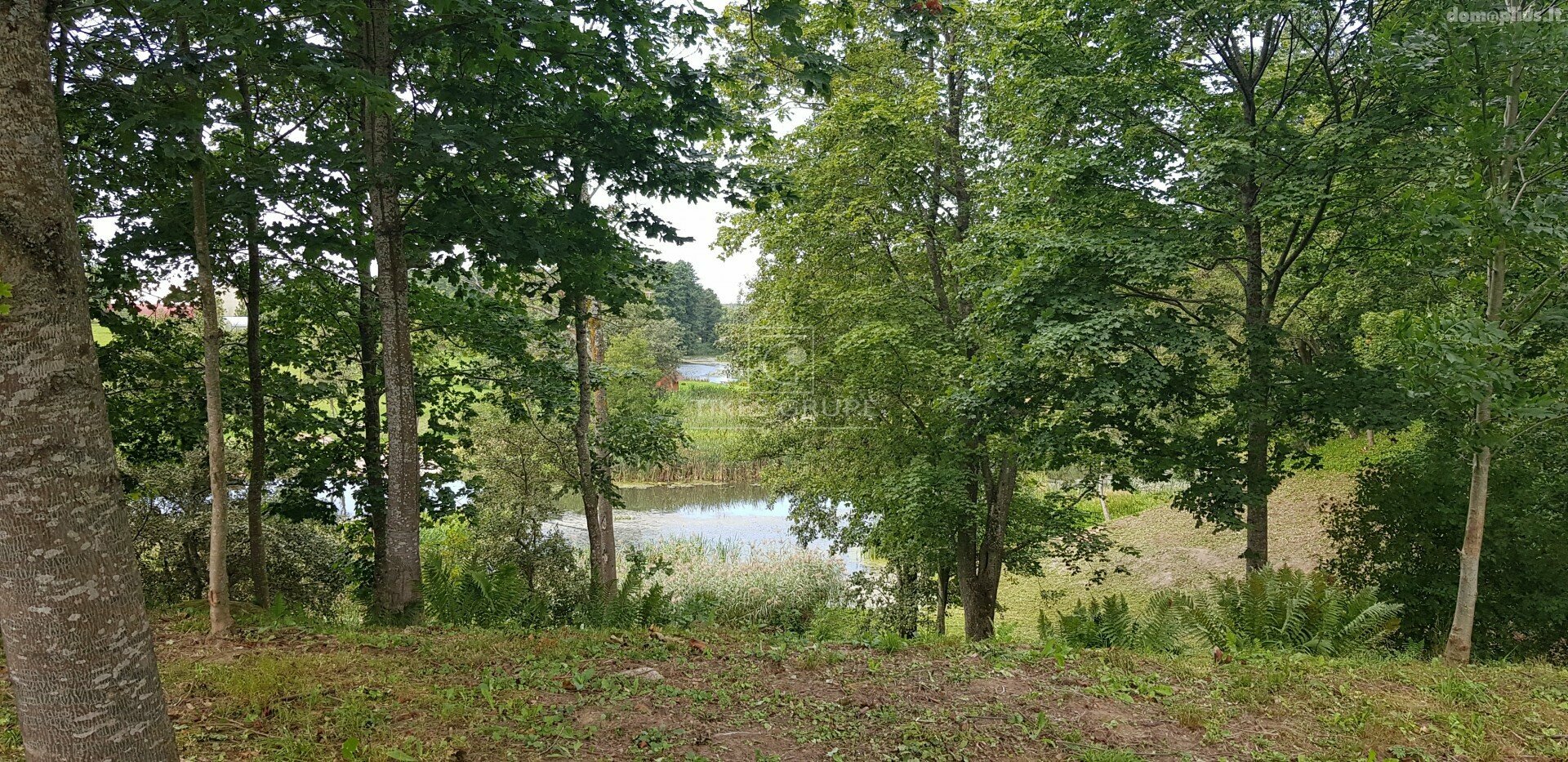 Участок Klaipėdos rajono sav., Radailiuose, Šlakių g.