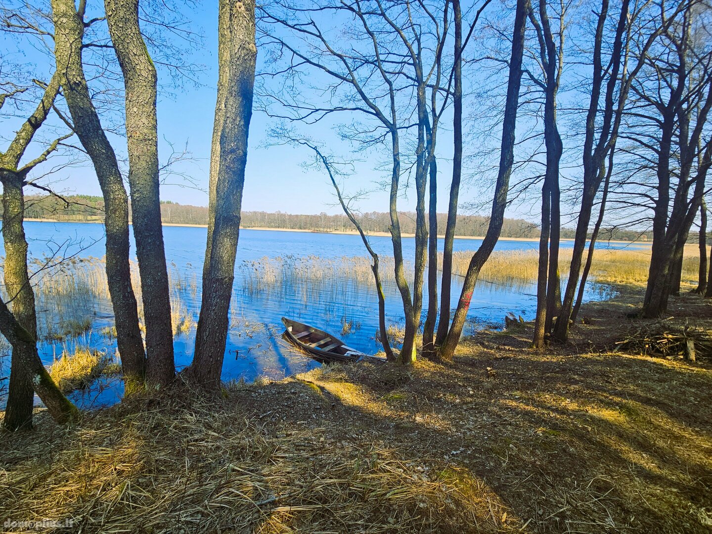 Parduodamas sklypas Lazdijų rajono sav., Radvilonyse, Radvilonių g.