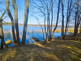 Land Lazdijų rajono sav., Radvilonyse, Radvilonių g.