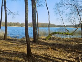 Parduodamas sklypas Lazdijų rajono sav., Radvilonyse, Radvilonių g.