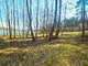 Parduodamas sklypas Lazdijų rajono sav., Radvilonyse, Radvilonių g. (4 nuotrauka)