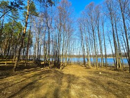 Parduodamas sklypas Lazdijų rajono sav., Radvilonyse, Radvilonių g.