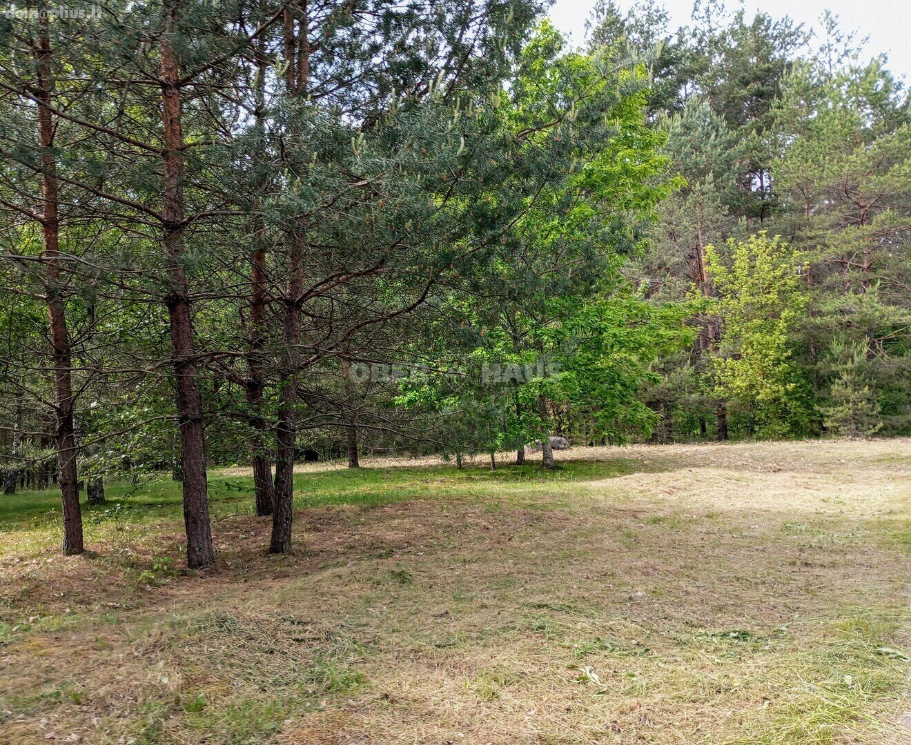 Land for sale Druskininkų sav., Druskininkuose