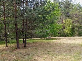 Land for sale Druskininkų sav., Druskininkuose
