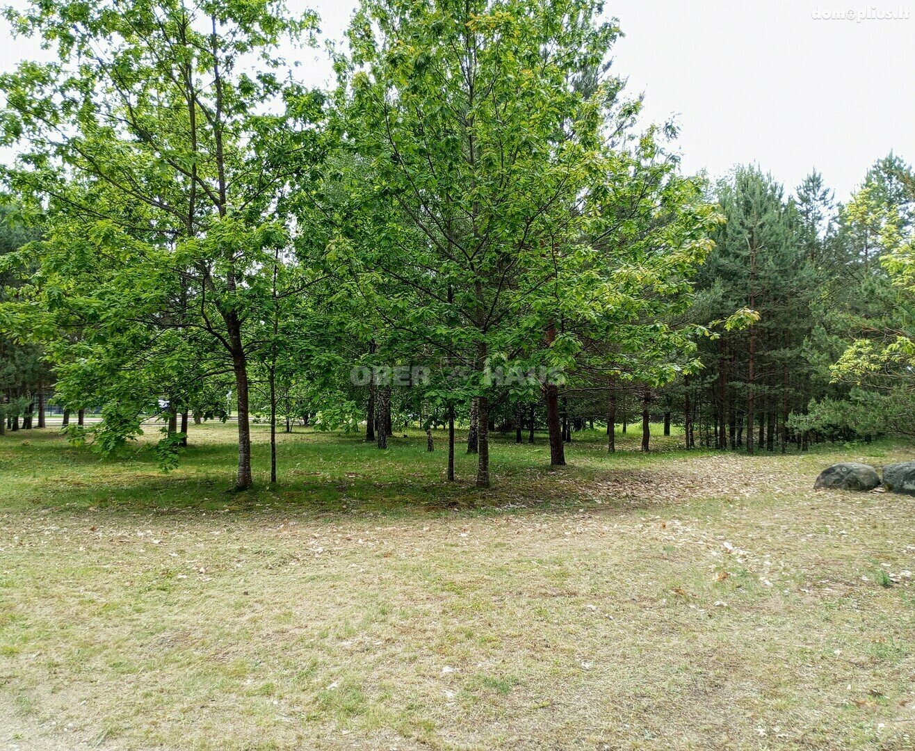 Land for sale Druskininkų sav., Druskininkuose