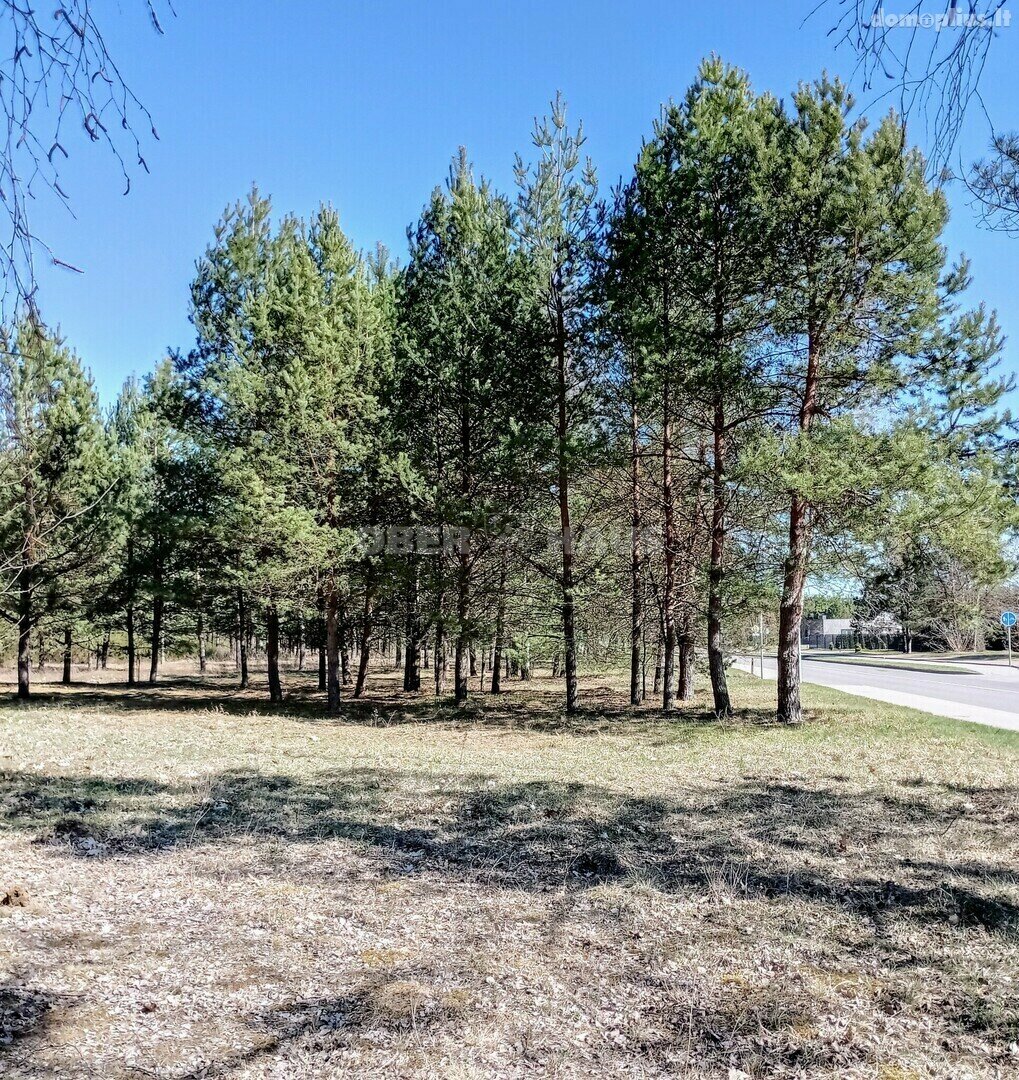 Участок Druskininkų sav., Druskininkuose