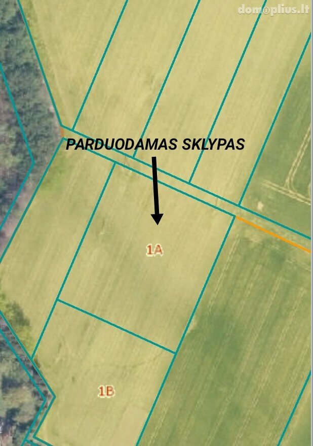 Parduodamas sklypas Vilkaviškio rajono sav., Varpininkuose, Paupio g.