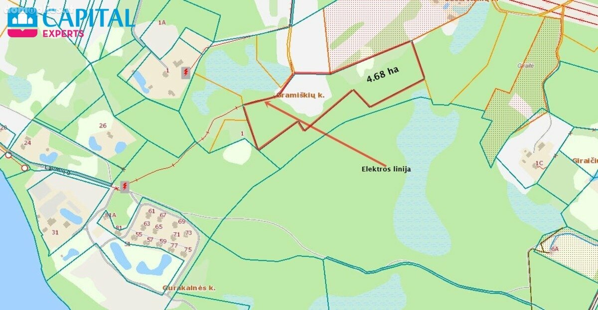 Parduodamas sklypas Molėtų rajono sav., Gramiškiuose