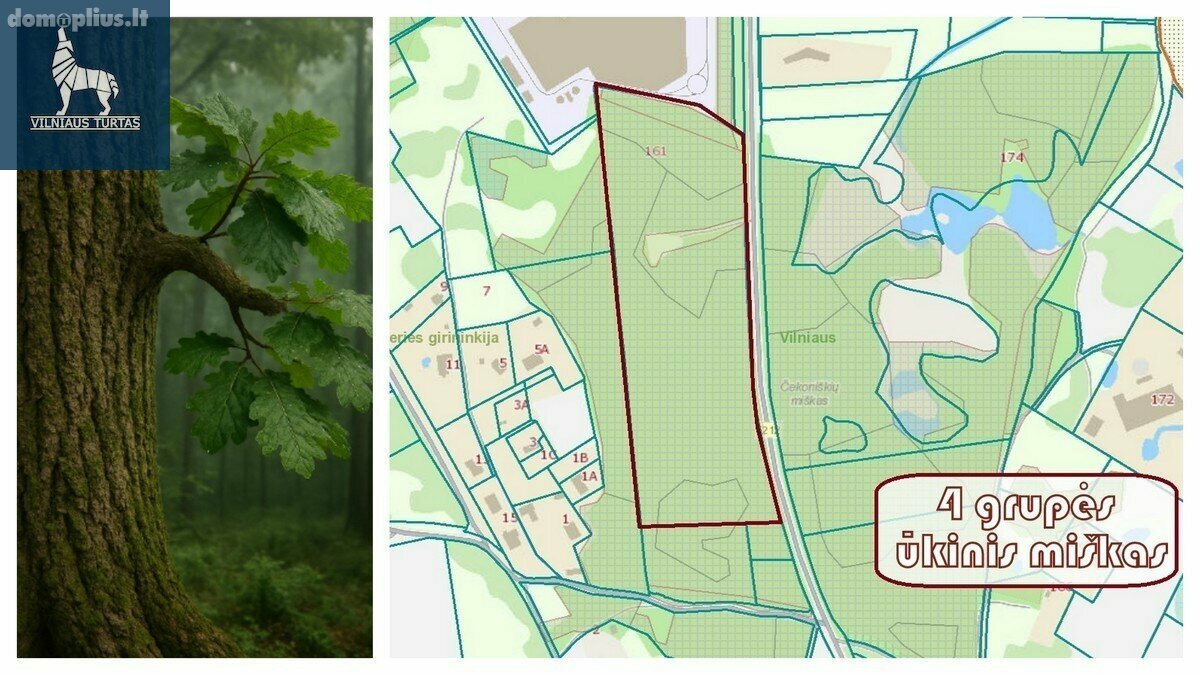 Parduodamas sklypas Vilniaus rajono sav., Čekoniškėse