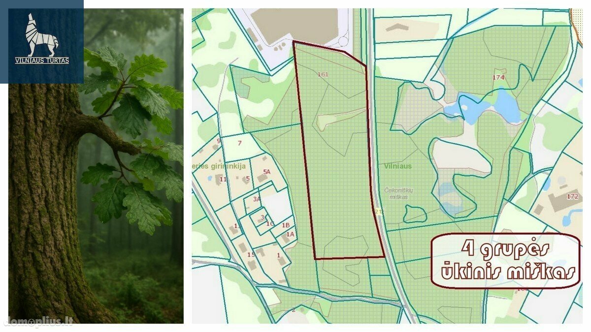 Parduodamas sklypas Vilniaus rajono sav., Čekoniškėse