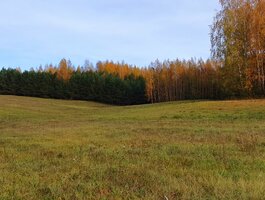 Parduodamas sklypas Molėtų rajono sav., Čiulėnuose, Čiulėnų g.