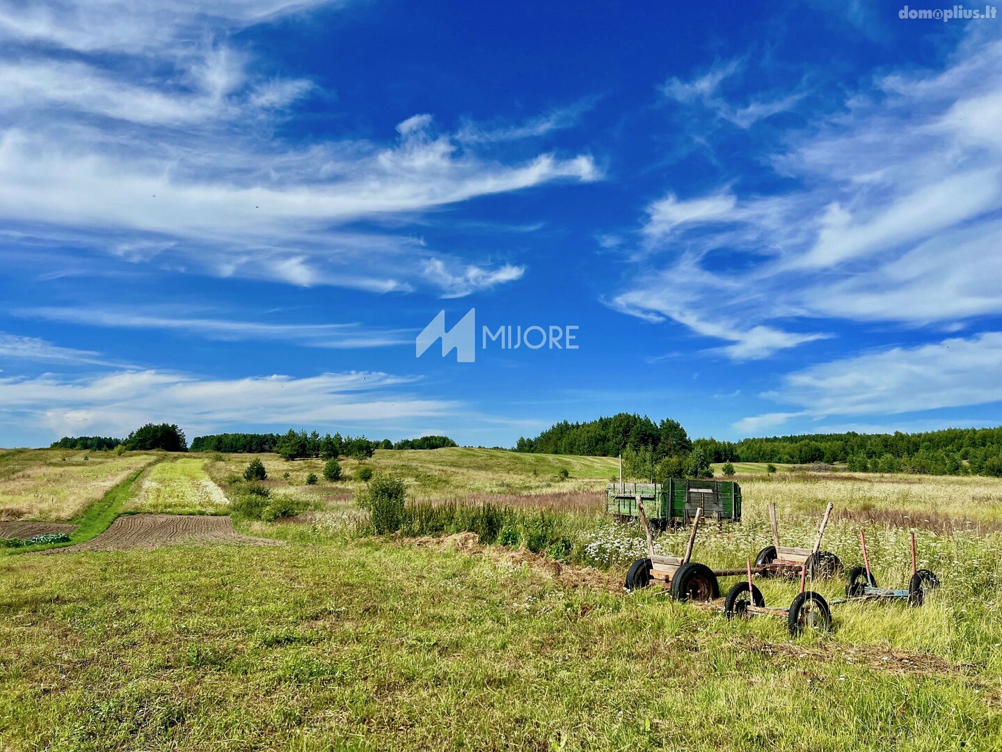 Land for sale Švenčionių rajono sav., Mėžionyse, Mėžionių g.