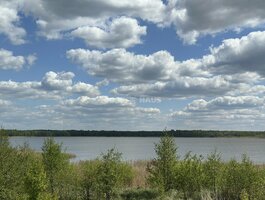 Parduodamas sklypas Molėtų rajono sav., Pavandenėje