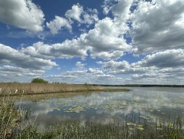 Parduodamas sklypas Molėtų rajono sav., Pavandenėje
