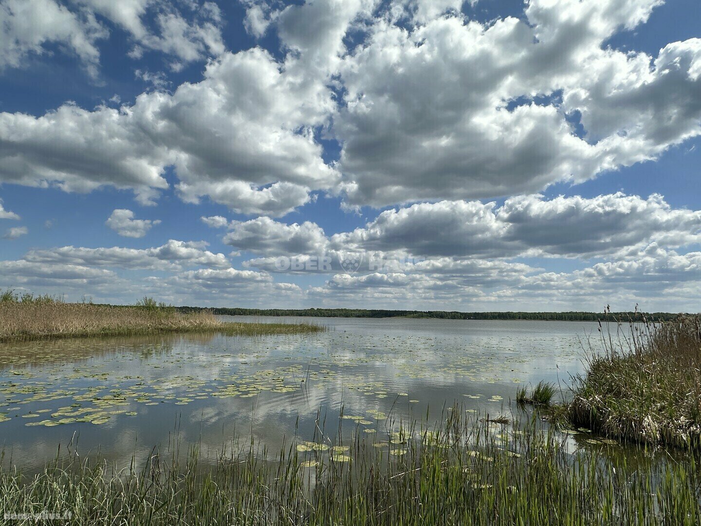 Parduodamas sklypas Molėtų rajono sav., Pavandenėje