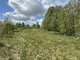 Parduodamas sklypas Molėtų rajono sav., Pavandenėje (7 nuotrauka)
