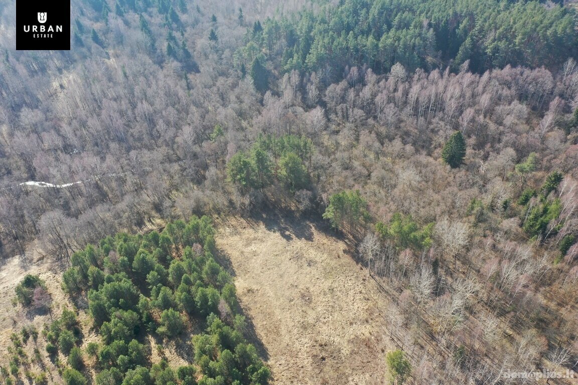 Parduodamas sklypas Vilniaus rajono sav., Čepurniškėse
