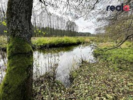 Участок Šalčininkų rajono sav., Pačiabatuose