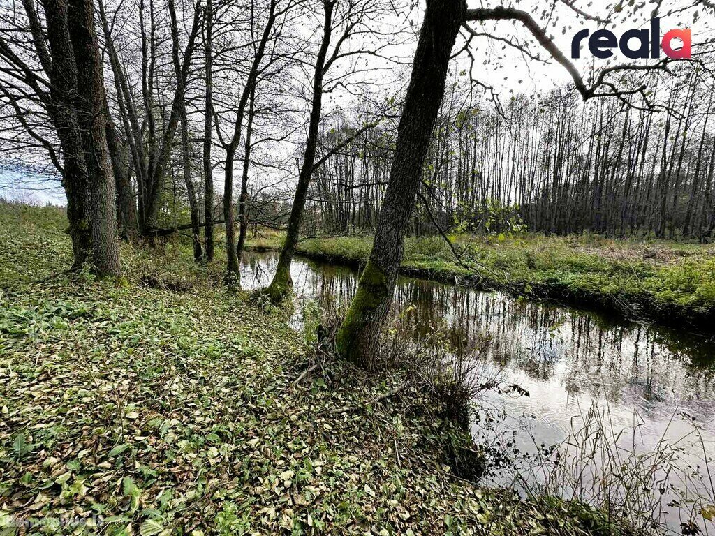 Участок Šalčininkų rajono sav., Pačiabatuose