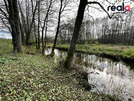 Участок Šalčininkų rajono sav., Pačiabatuose