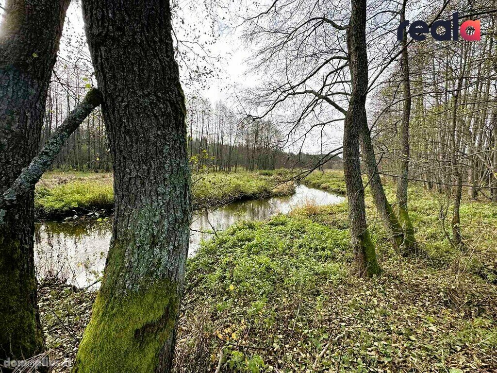 Участок Šalčininkų rajono sav., Pačiabatuose