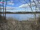 Land for sale Rokiškio rajono sav., Ragavoje (2 picture)