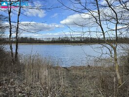 Land for sale Rokiškio rajono sav., Ragavoje