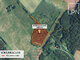 Land for sale Rokiškio rajono sav., Sėdžiūnuose (3 picture)