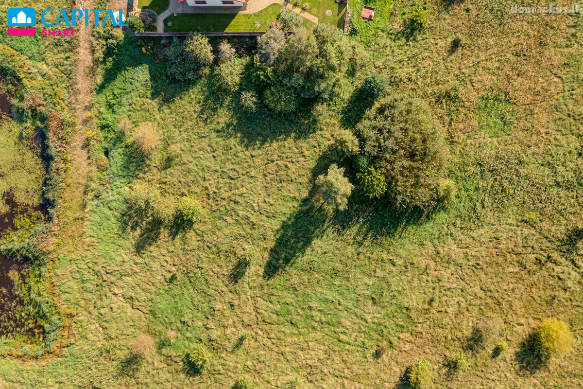 Land for sale Vilniaus rajono sav.