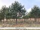 Land for sale Elektrėnų sav., Vilūniškėse, Trakų g. (21 picture)