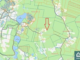 Участок Ignalinos rajono sav., Girminiuose, Budrių g.
