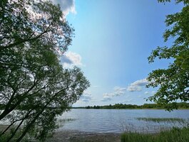 Land for sale Ignalinos rajono sav., Svirkos
