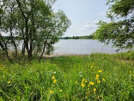 Land for sale Ignalinos rajono sav., Svirkos