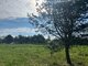 Parduodamas sklypas Druskininkų sav., Druskininkuose, Salos g. (20 nuotrauka)