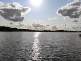 Parduodamas sklypas Prienų rajono sav., Jiezne, Žalioji g.