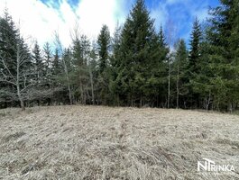 Parduodamas sklypas Šiaulių rajono sav., Bubiuose, Gervėnų g.