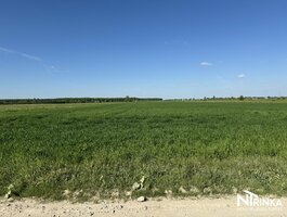 Sklypas Šiaulių rajono sav., Šapnagiuose
