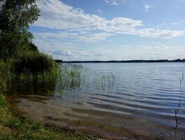 Parduodamas sklypas Molėtų rajono sav., Skardžiuose