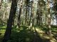 Parduodamas sklypas Molėtų rajono sav., Skardžiuose (7 nuotrauka)