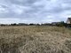 Parduodamas sklypas Šiaulių rajono sav., Vinkšnėnuose, Alyvų g. (7 nuotrauka)