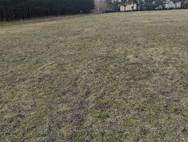 Land Klaipėdos rajono sav., Drevernoje, Nidos g.
